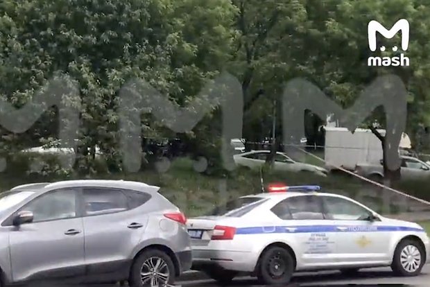 Вводная картинка