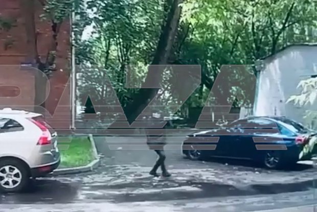 Вводная картинка