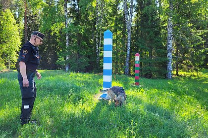 Финляндия захотела привлечь тысячи солдат для охраны границы с Россией