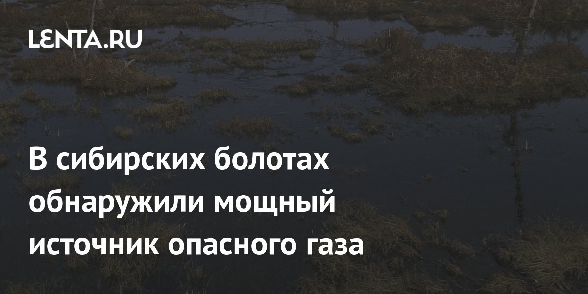 В сибирских болотах обнаружили мощный источник опасного газа: Климат и ...