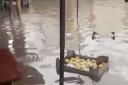 Затопленные после сильных ливней Севастополь и Новороссийск попали на видео