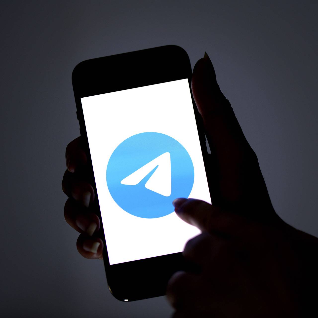 На фоне захвата заложников в СИЗО произошел сбой в работе Telegram:  Интернет: Интернет и СМИ: Lenta.ru