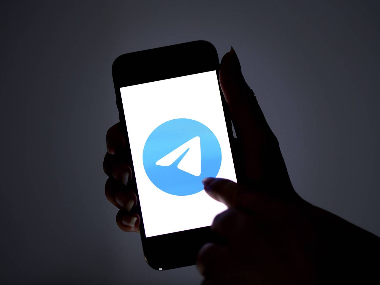 На фоне захвата заложников в СИЗО произошел сбой в работе Telegram:  Интернет: Интернет и СМИ: Lenta.ru