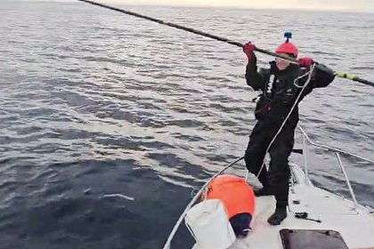 Горбатого кита спасли в Баренцевом море