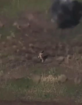 Российский боец чудом увернулся от шквала шрапнели FPV-дрона в упор и попал на видео
