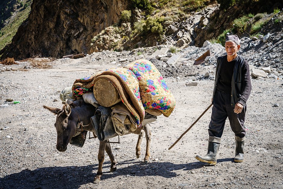 Местный житель с вьючным мулом на Анзобском перевале