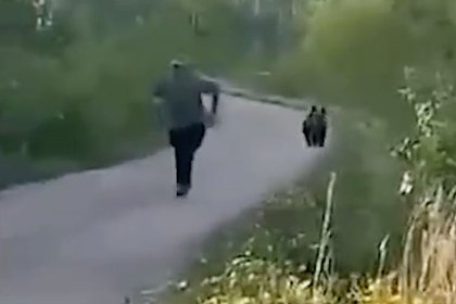 Игра в догонялки с диким медвежонком в российском регионе попала на видео