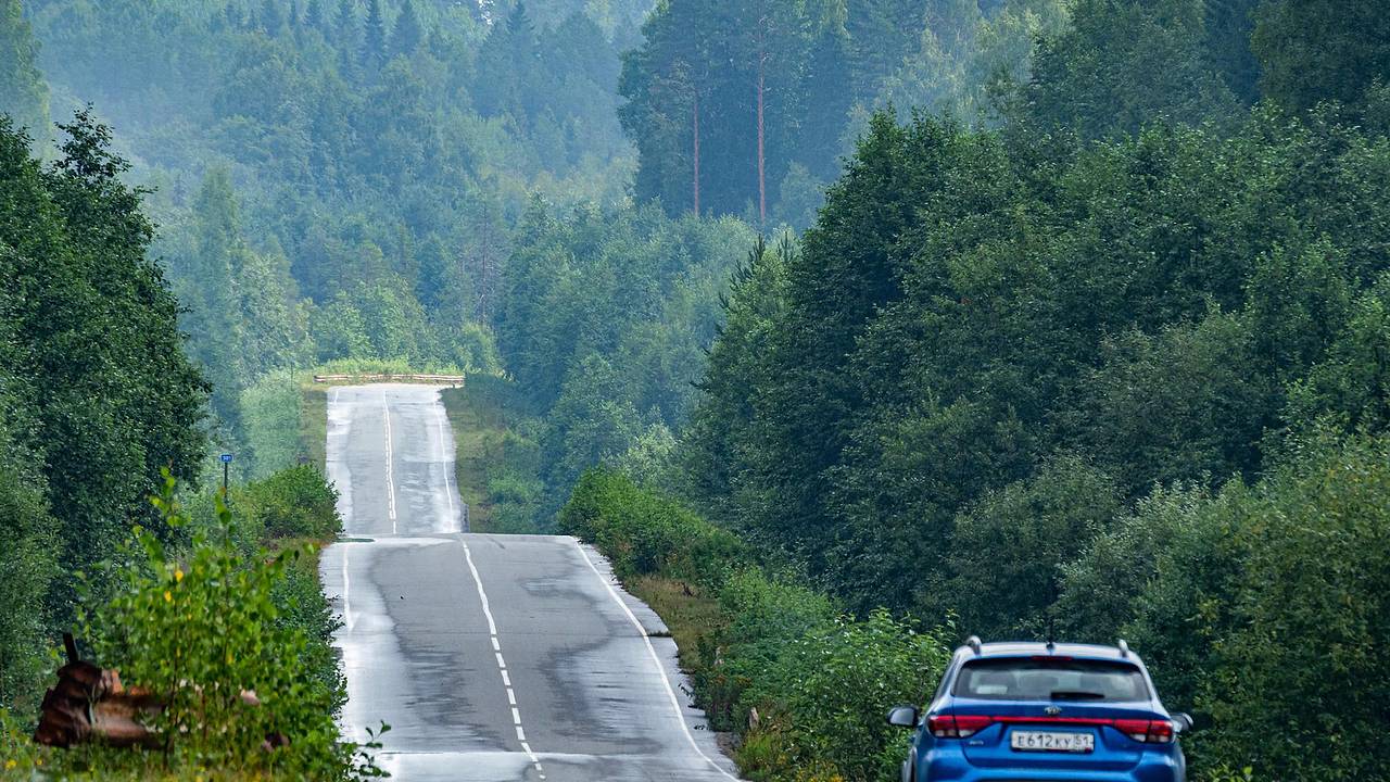 Россиянин обратился к сестре с просьбой, попал в ДТП, окровавленный ушел в  лес и исчез: Происшествия: Россия: Lenta.ru