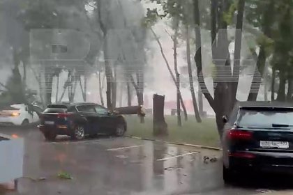 Падение дерева на машины во время урагана в Москве попало на видео