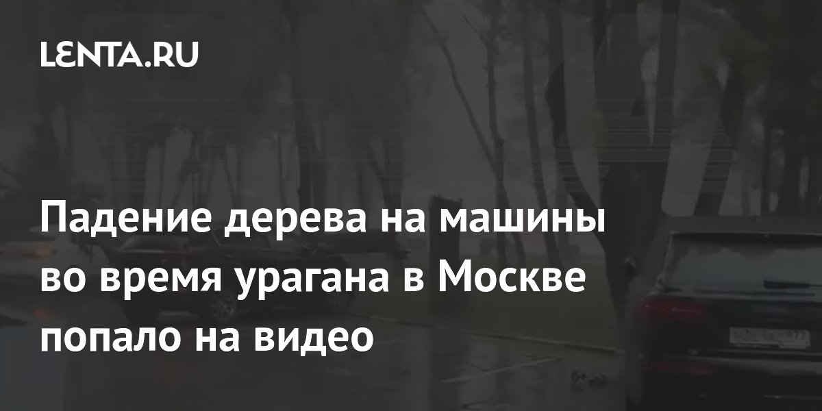 Дерево упало на автомобили в Алматы (ВИДЕО)