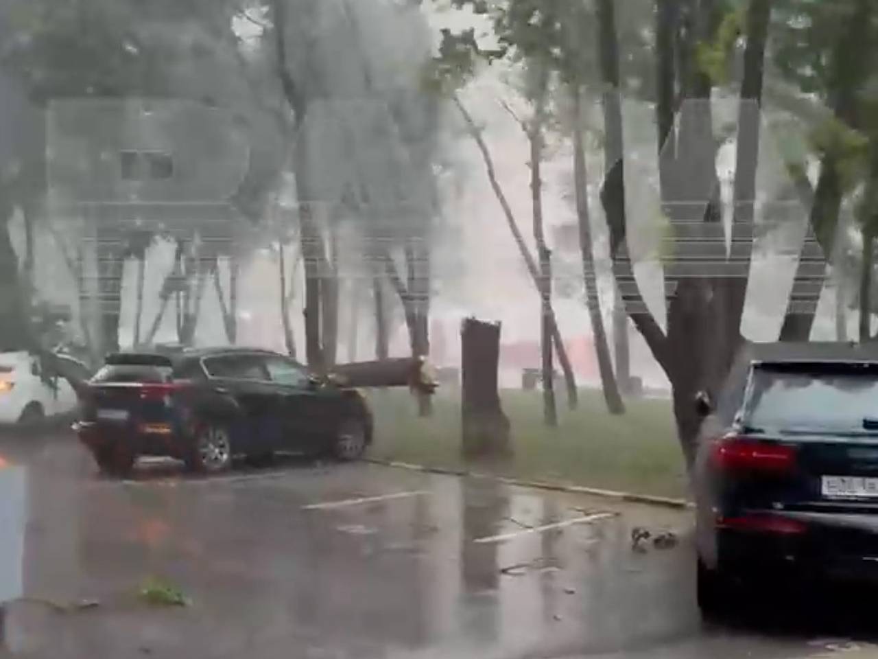 Падение дерева на машины во время урагана в Москве попало на видео:  Городская среда: Экономика: Lenta.ru