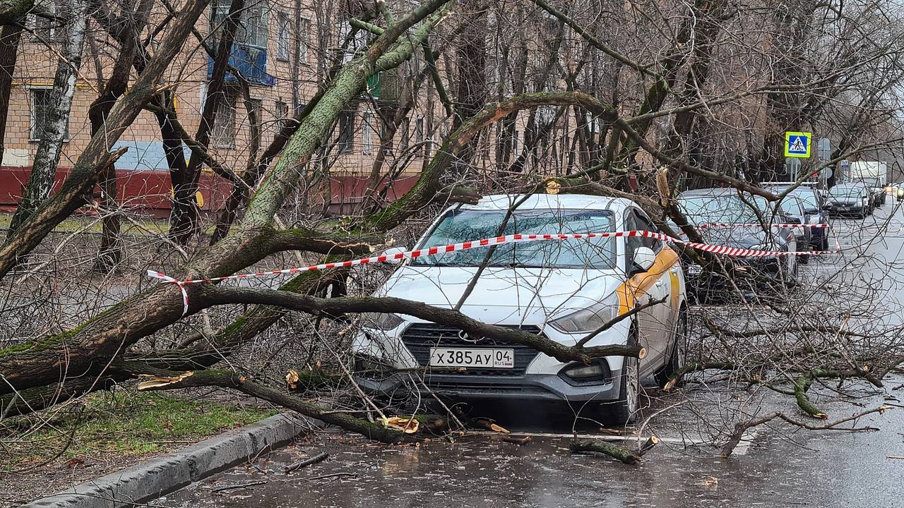 Названо число пострадавших во время урагана в Москве: Происшествия: Россия:  Lenta.ru