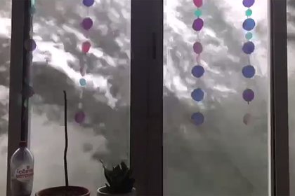 Упавшее на балкон москвички во время урагана дерево попало на видео