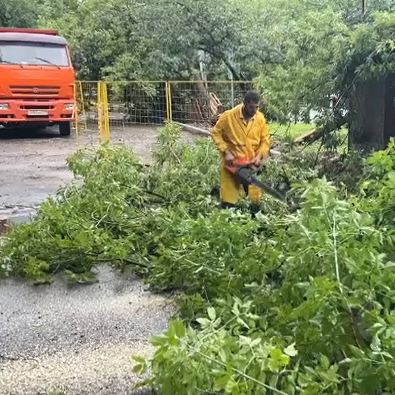 Городские службы Москвы рассказали о ликвидации последствий непогоды в  столице: Москва: Россия: Lenta.ru