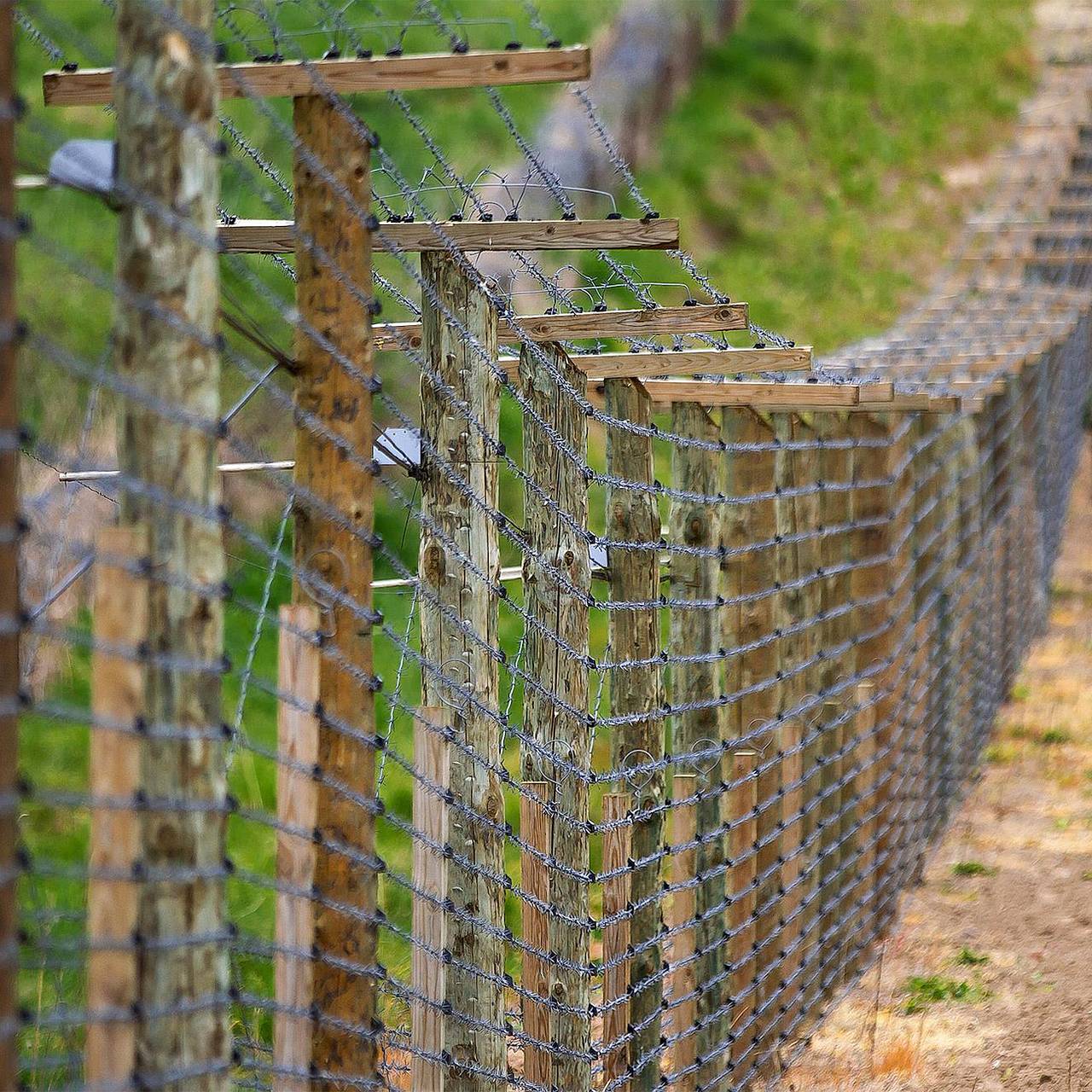 Пограничники СНГ обсудили укрепление внешних границ: Белоруссия: Бывший  СССР: Lenta.ru