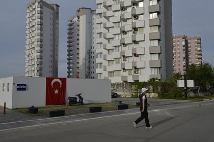 Нашествие змей в домах и автомобилях произошло в турецком городе