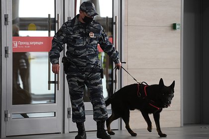 В московском аэропорту усилили меры безопасности после теракта в Дагестане