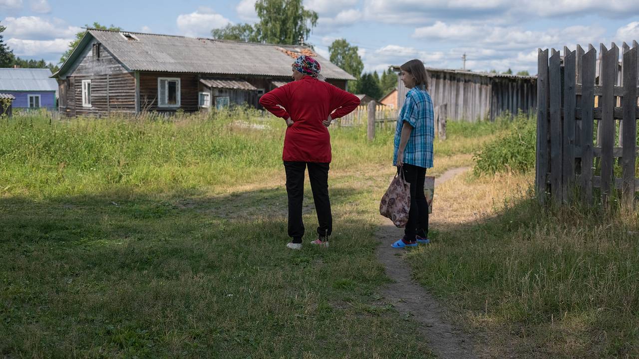 Дачников призвали прогнать ежей с участка: Городская среда: Экономика:  Lenta.ru