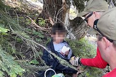 Пропавшего на сутки маленького ребенка нашли под деревом