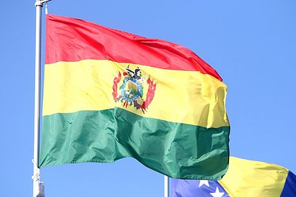 В Боливии призвали международное сообщество выступить против попытки госпереворота