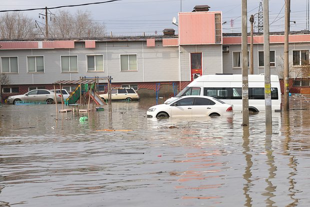 Вводная картинка