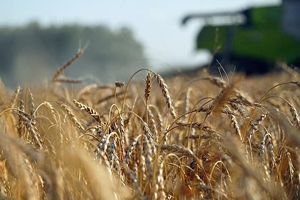 В БРИКС поддержали идею о создании зерновой биржи