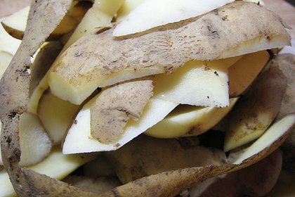 Дачников призвали срочно закопать картофельные очистки