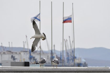 В Британии сообщили об опасениях НАТО из-за тайных операций России на дне моря