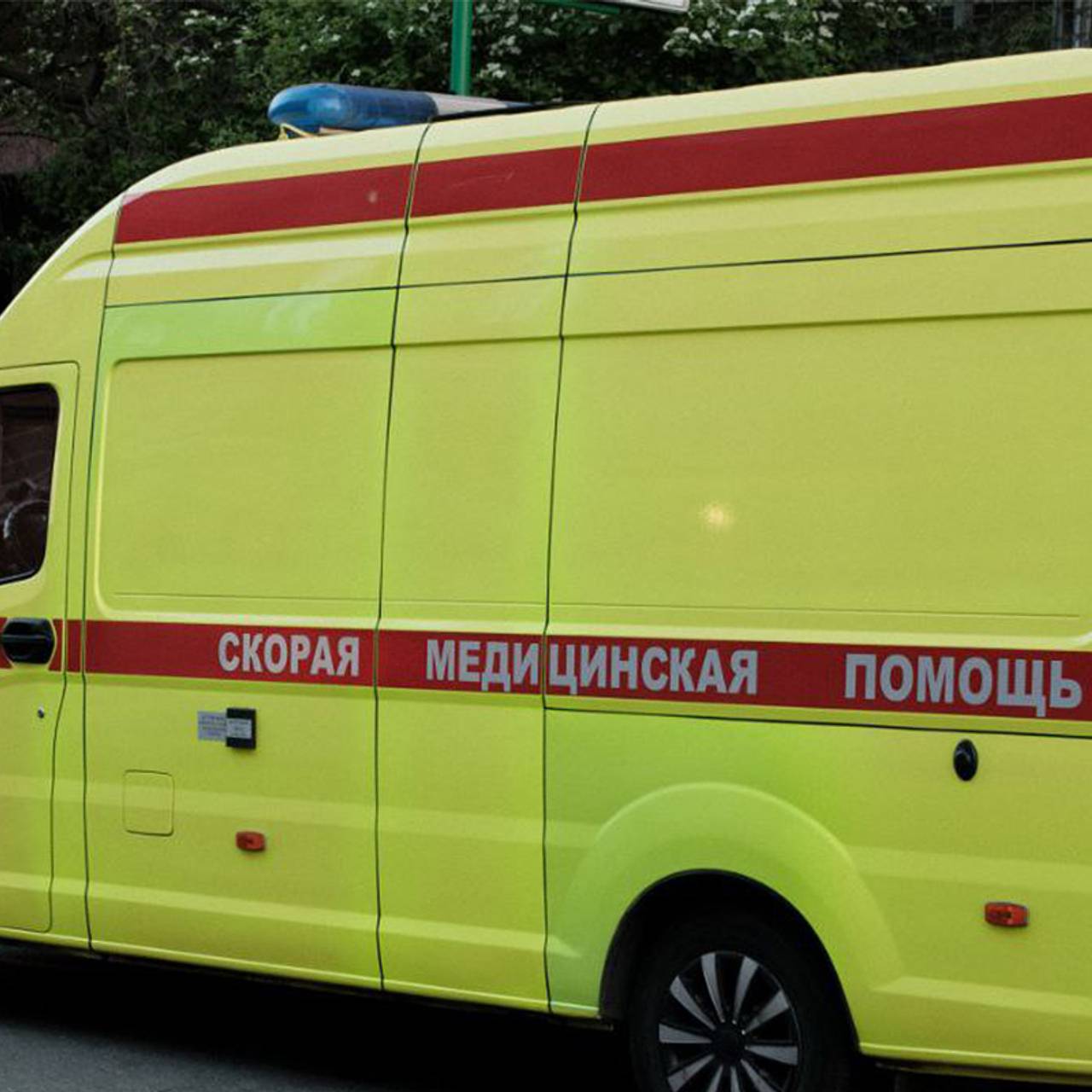 https://icdn.lenta.ru/images/2024/06/30/11/20240630114707226/square_1280_0d276ab7105af64cc1c955ffef00aab3.jpg