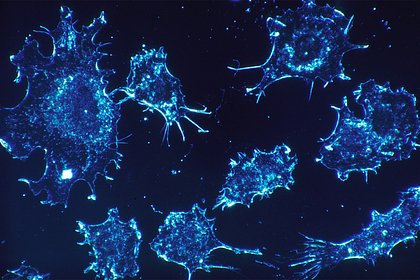 Созданы уничтожающие рак нанороботы