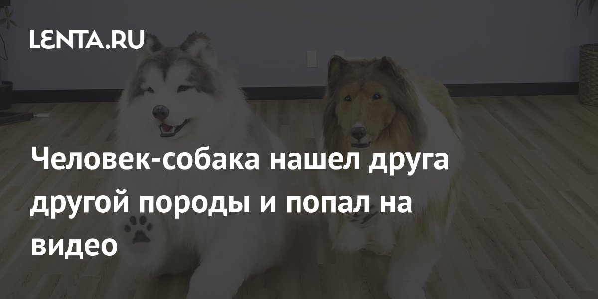 «Тейт насиловал и душил нас». Новые подробности в деле скандального блогера Эндрю Тейта