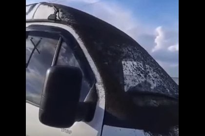 Черный от мошкары грузовик в российском регионе попал на видео