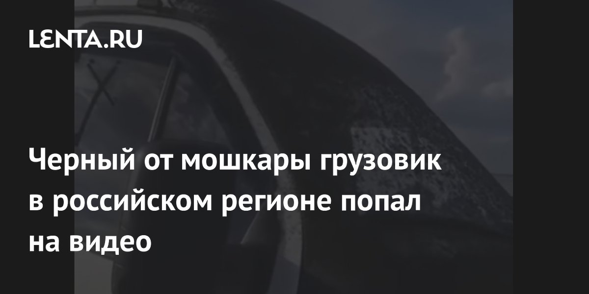 Черный от мошкары грузовик в российском регионе попал на видео ...
