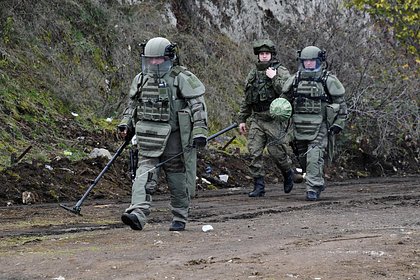 Схрон с самодельными бомбами обнаружили в российском лесу