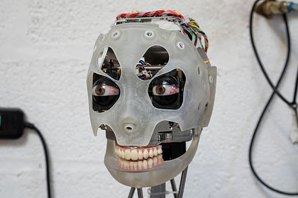 Глаза для роботов позаимствовали у человека