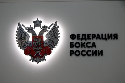 Федерация бокса России подала заявление в Генпрокуратуру на бойца ММА Рзаева
