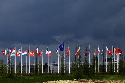 МИД России назвал цели приглашения США Еревана и Баку на саммит НАТО