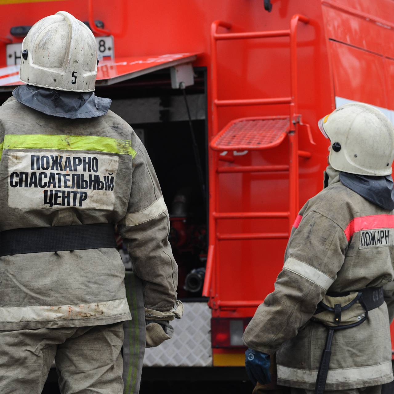 Под Москвой прибывшие на тушение пожара спасатели получили тепловой удар:  Общество: Россия: Lenta.ru