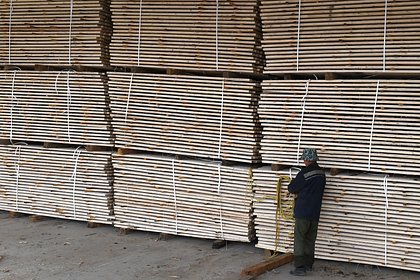 В Финляндии столкнулись с угрозой дефицита древесины