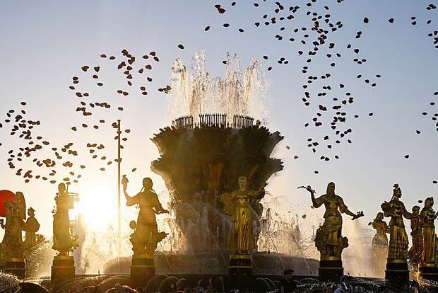 Вводная картинка
