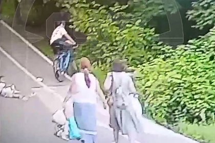 Россиянин на велосипеде сбил девочку, бросил в нее игрушку, уехал и попал на видео