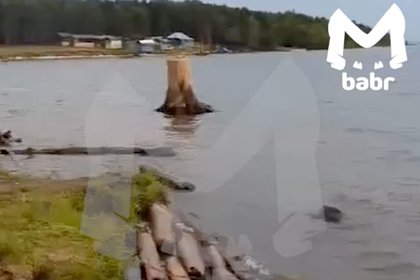 Найденный россиянином на дне водохранилища гранатомет попал на видео