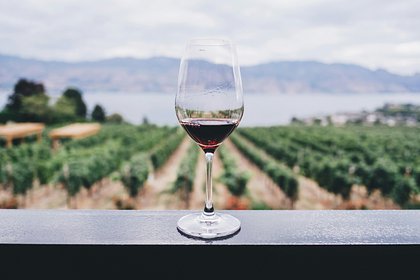 Белорусские вина предложили маркировать знаком «не является вином»