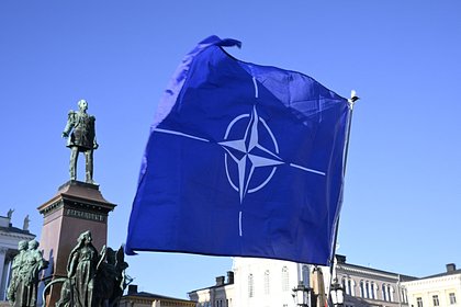 Американский эксперт заявил о расколе внутри НАТО
