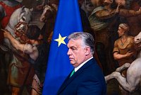 Во Франции усомнились в словах Зеленского о переговорах. Президента Украины обвинили в подготовке ловушки для России