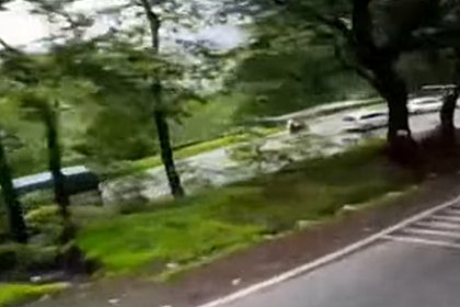 Турист случайно снял видео из рухнувшего в ущелье автобуса