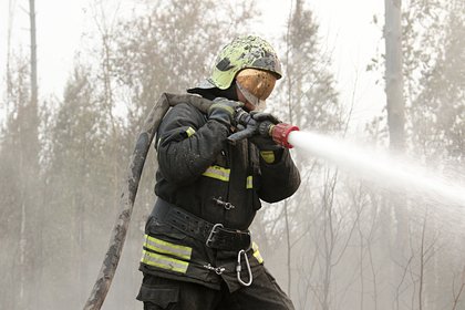 Власти Новороссийска попросили помощи добровольцев в тушении пожара в районе Абрау-Дюрсо