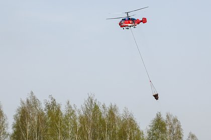 Еще два вертолета и самолет привлекут к тушению пожара под Новороссийском
