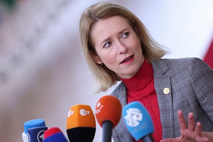 В России объяснили влияние отставки правительства Эстонии на политику страны