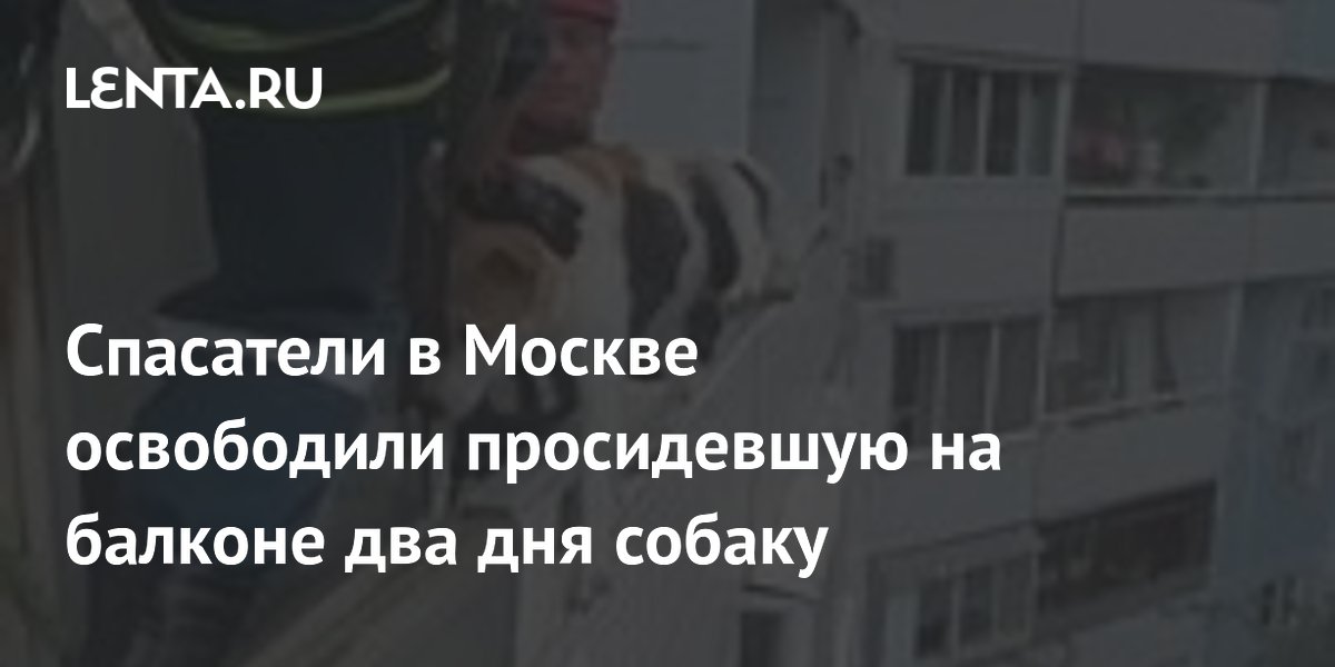 Спасатели в Москве освободили просидевшую на балконе два дня собаку